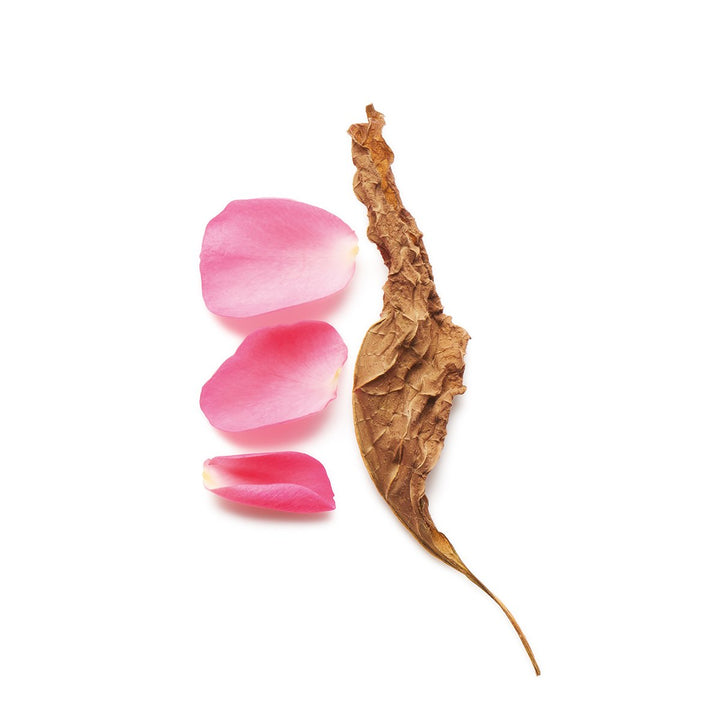 Armani - Si Intense Eau de Parfum Spray