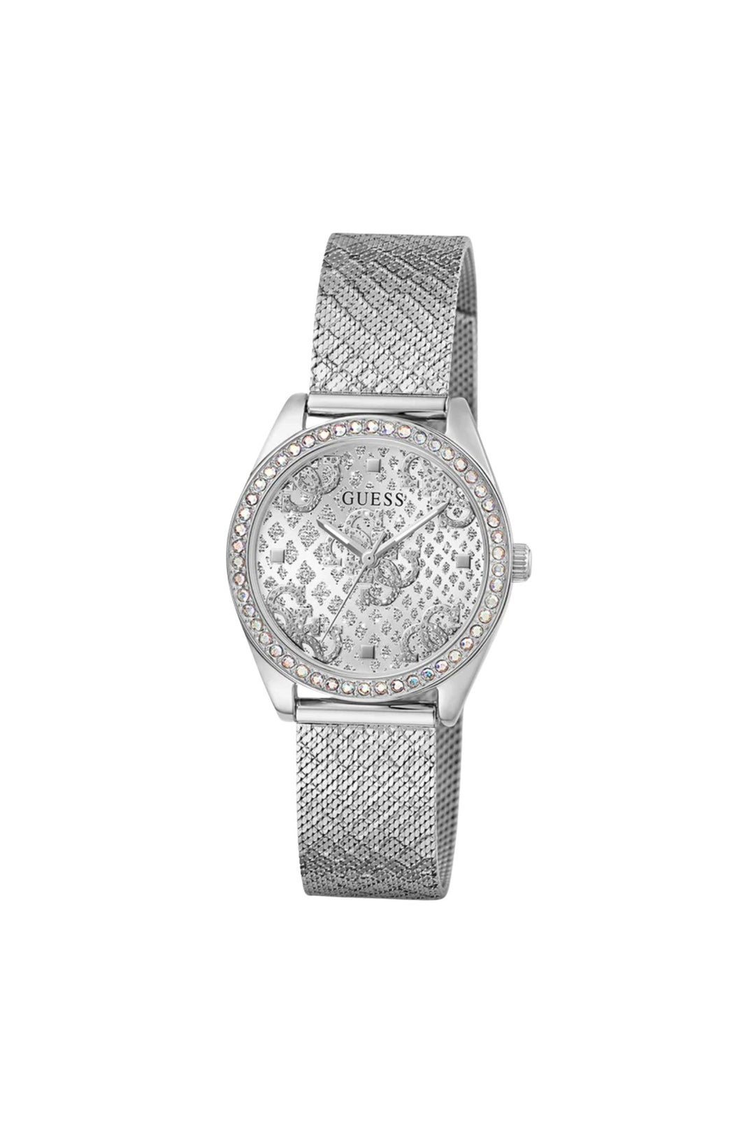 Ladies, Ip Silver Case, Silver Dial & Strap Watch
