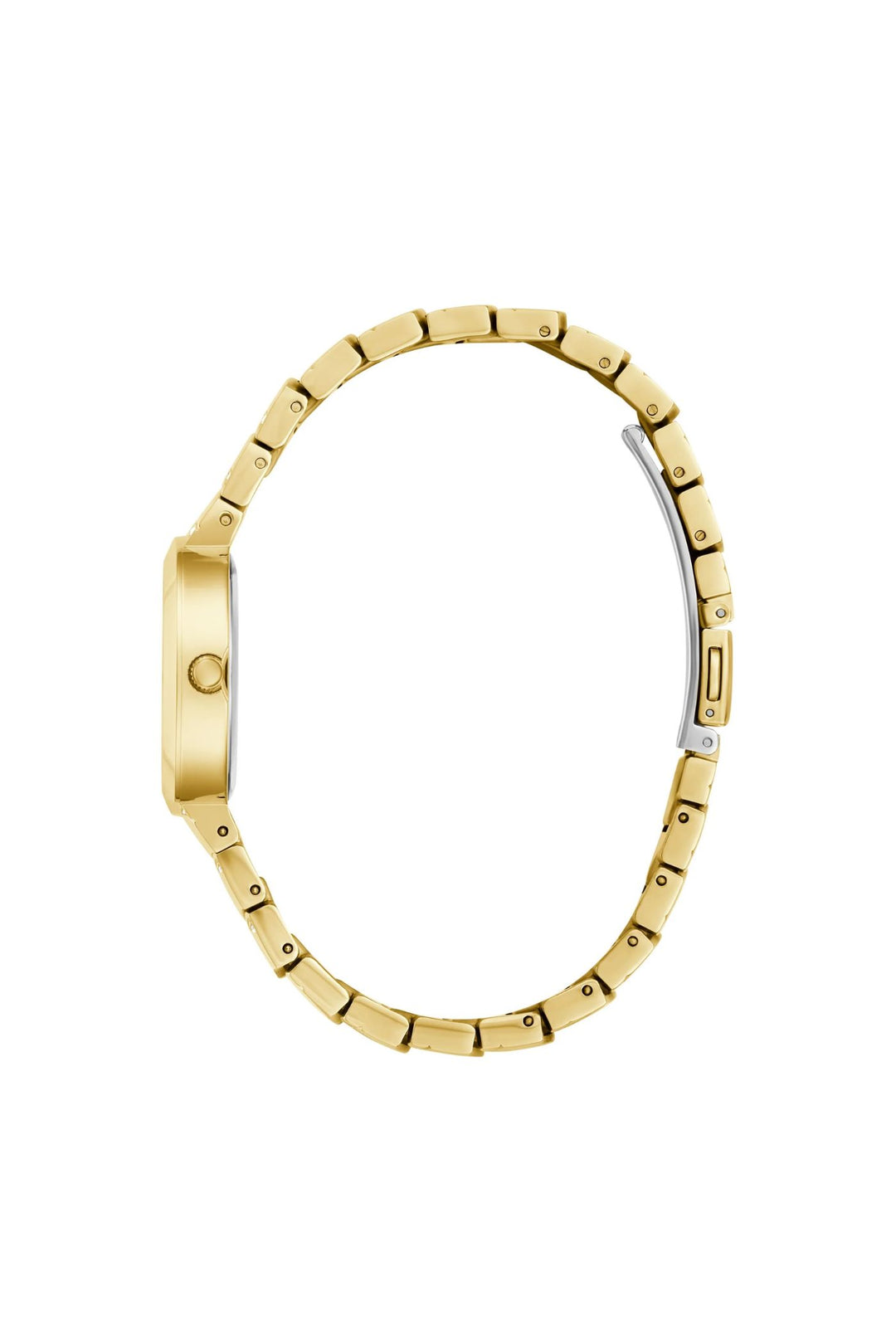 Laguna Green Round Dial Analog Watch - Gold