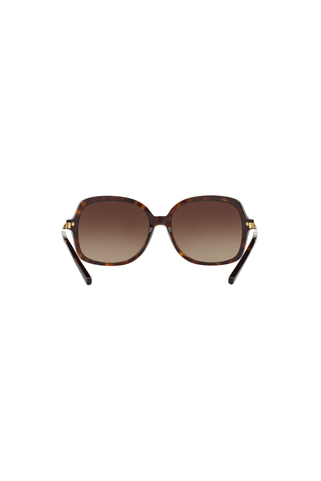 Adrianna Ii Brown Gradient Sunglasses - Tortoise Shell