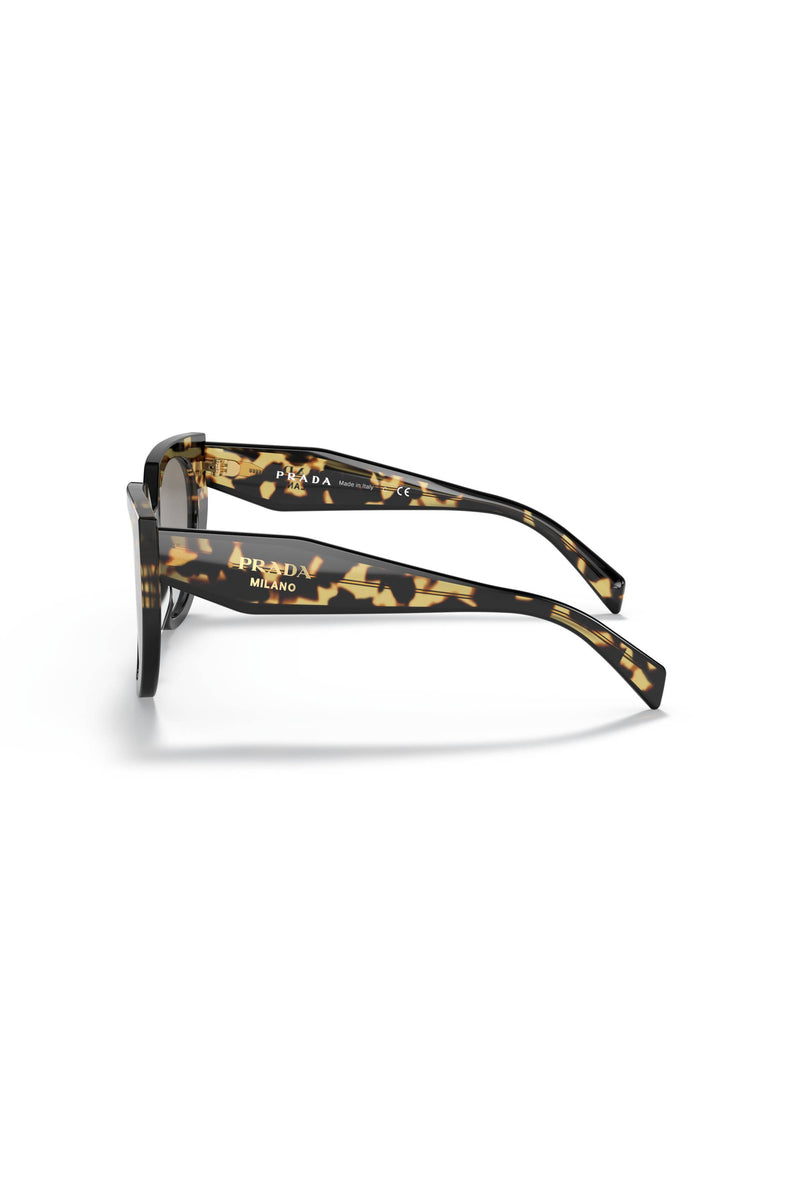 Gradient Lens Sunglasses - Tortoise Shell