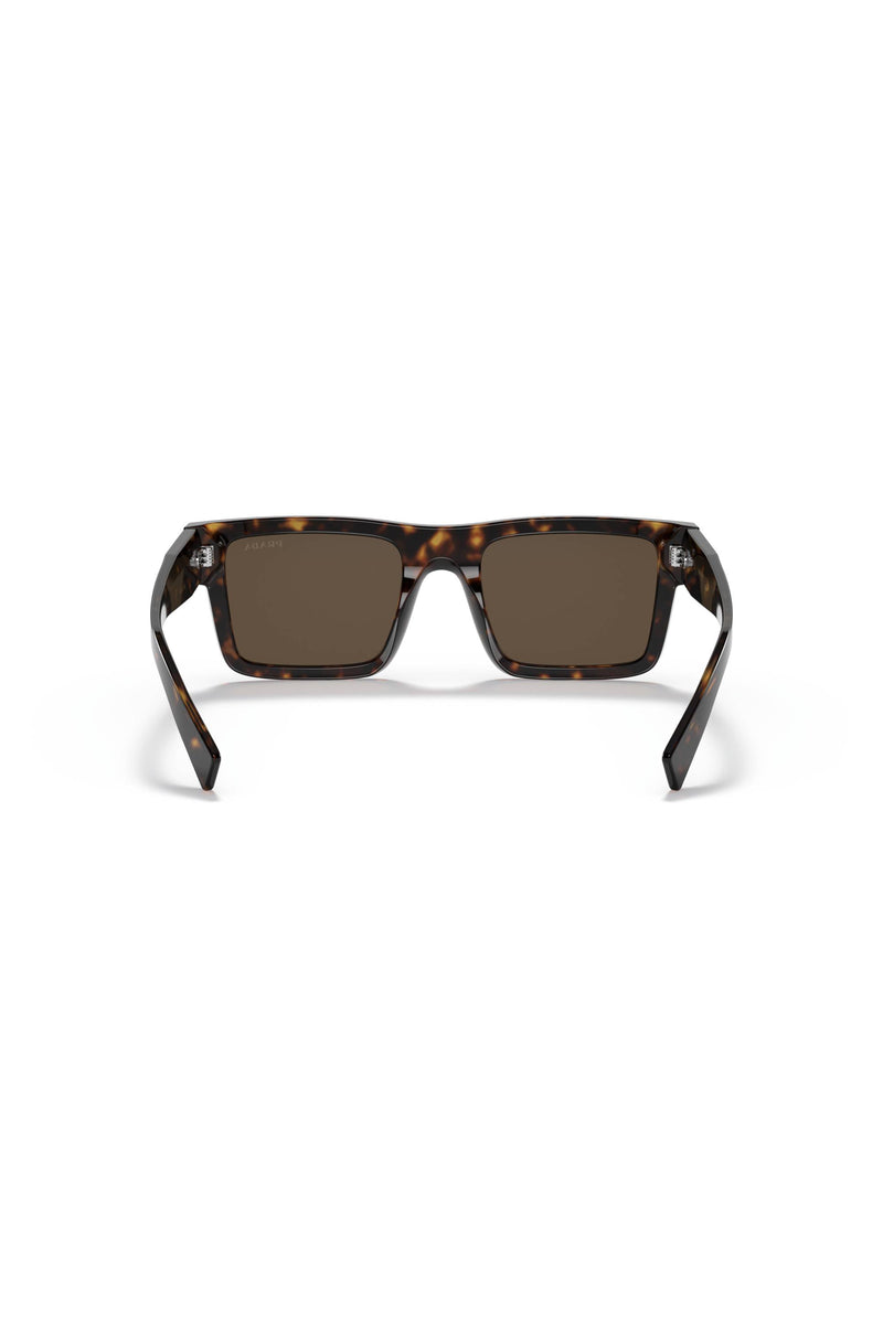 0PR19WS 522AU8C1 Brown Lens Sunglasses - Tortoise Shell