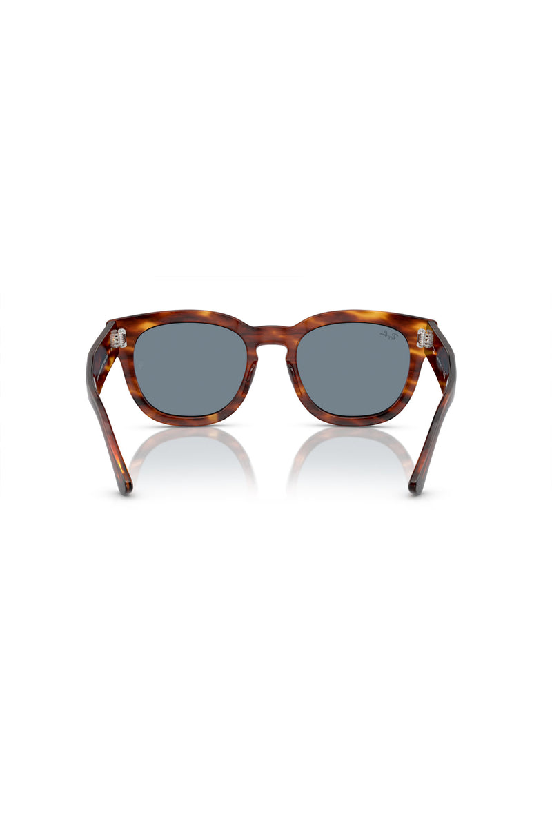 Mega Hawkeye Sunglasses - Brown