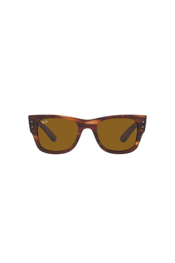 Ray-Ban Mega Wayfarer Brown Sunglasses
