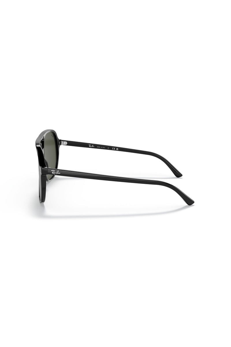 Bill Sunglasses - Black