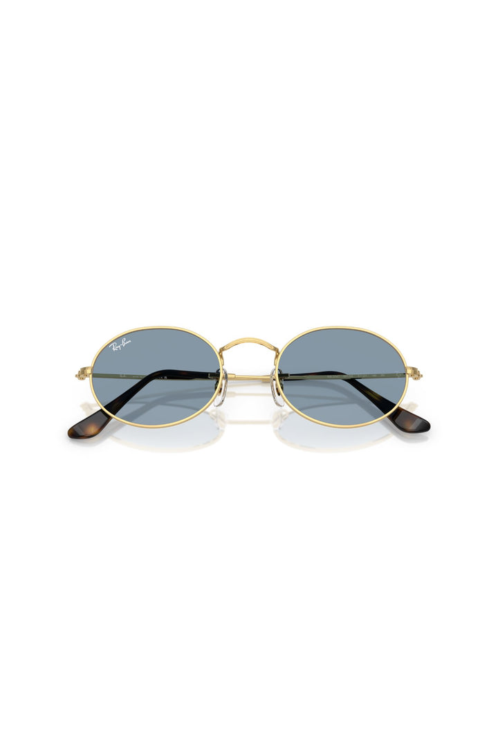 Oval Metal Summer Capsule Sunglasses - Blue