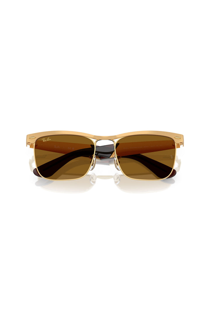 Wayfarer Deluxe Sunglasses - Brown