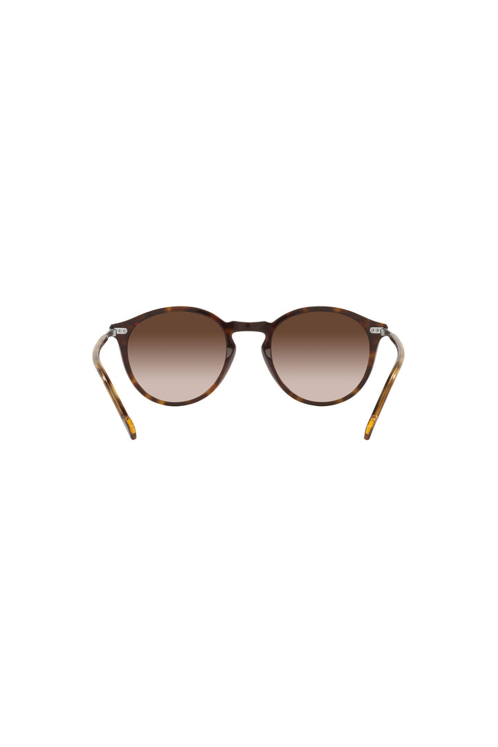 Dark Havana Sunglasses - Tortoise Shell