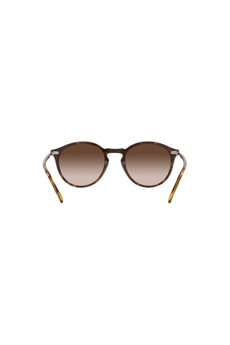 Dark Havana Sunglasses - Tortoise Shell