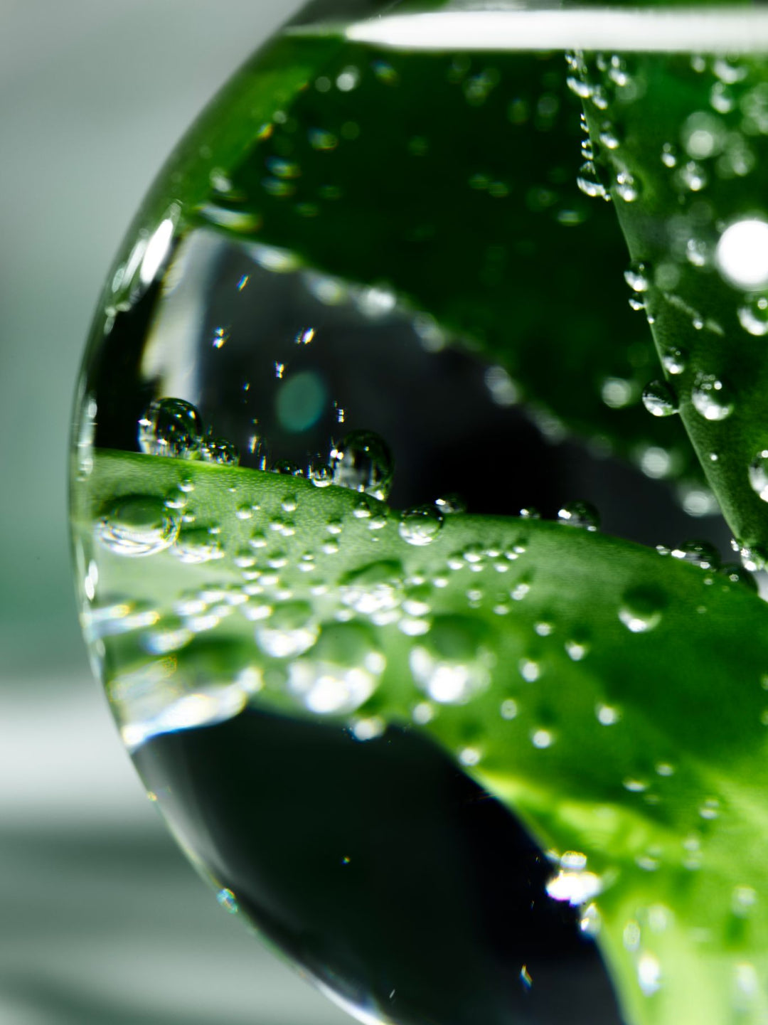 Ecological Compound Advanced Formula 125ml