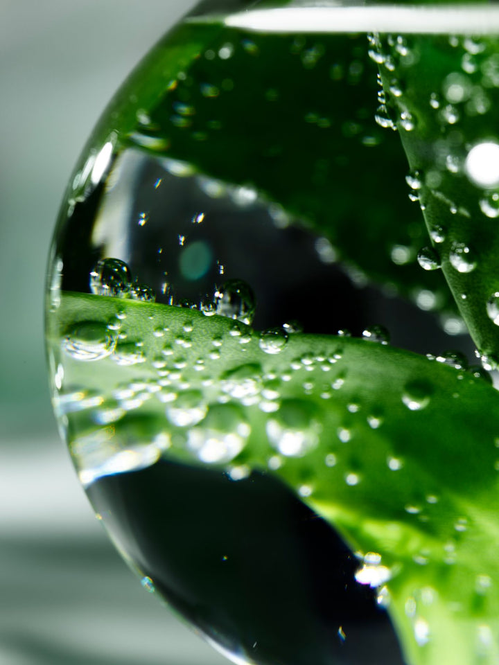 Ecological Compound Advanced Formula 125ml