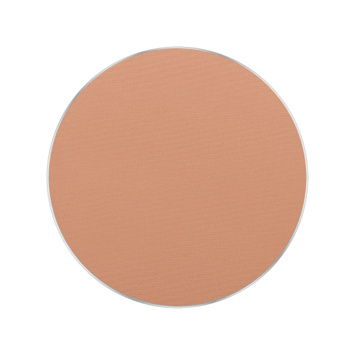 Freedom System Perfect Finish Pressed Powder