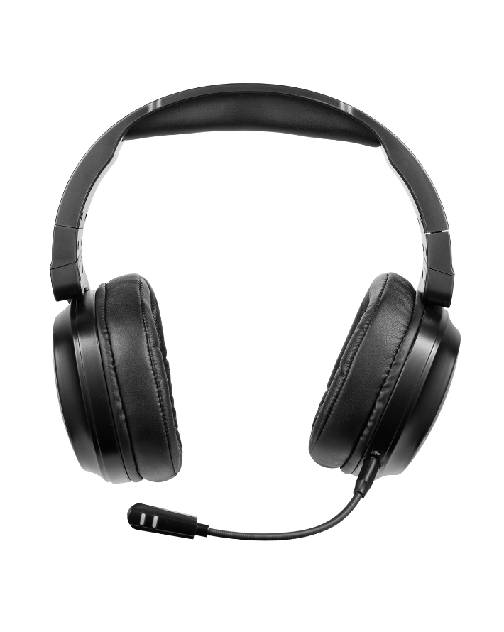Gaming Stealth Earphone - Black