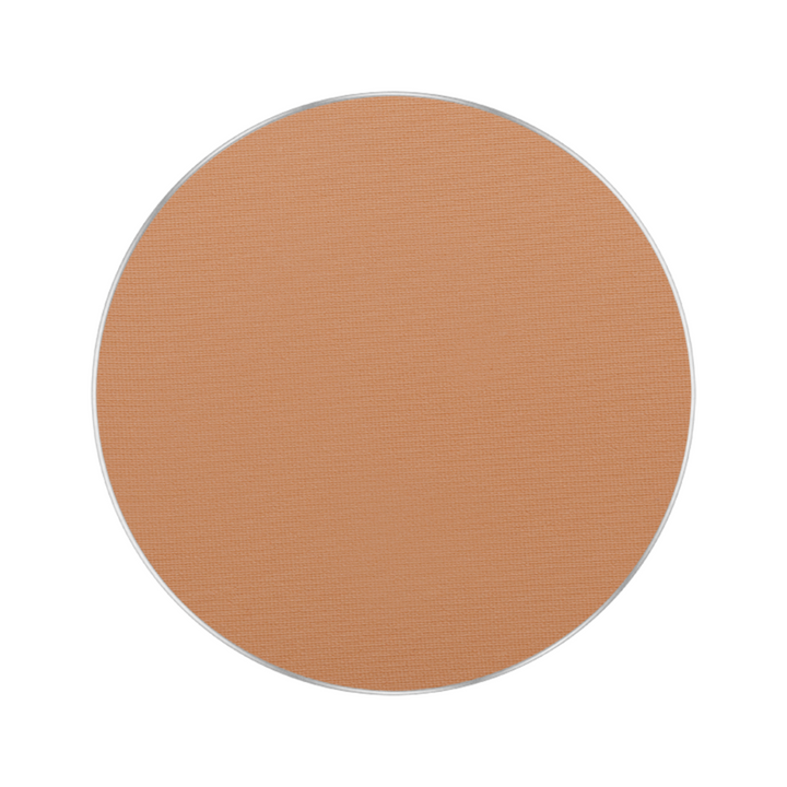 Freedom System Perfect Finish Pressed Powder