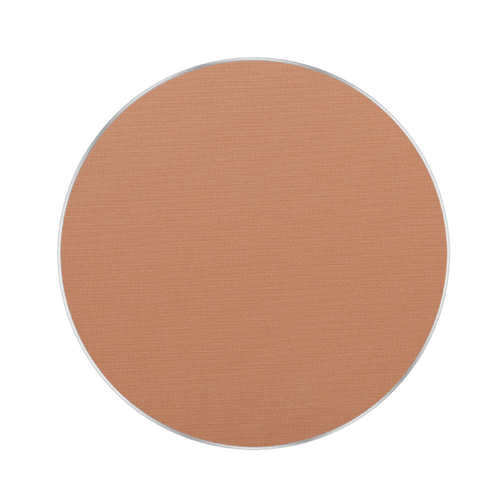 Freedom System Perfect Finish Pressed Powder