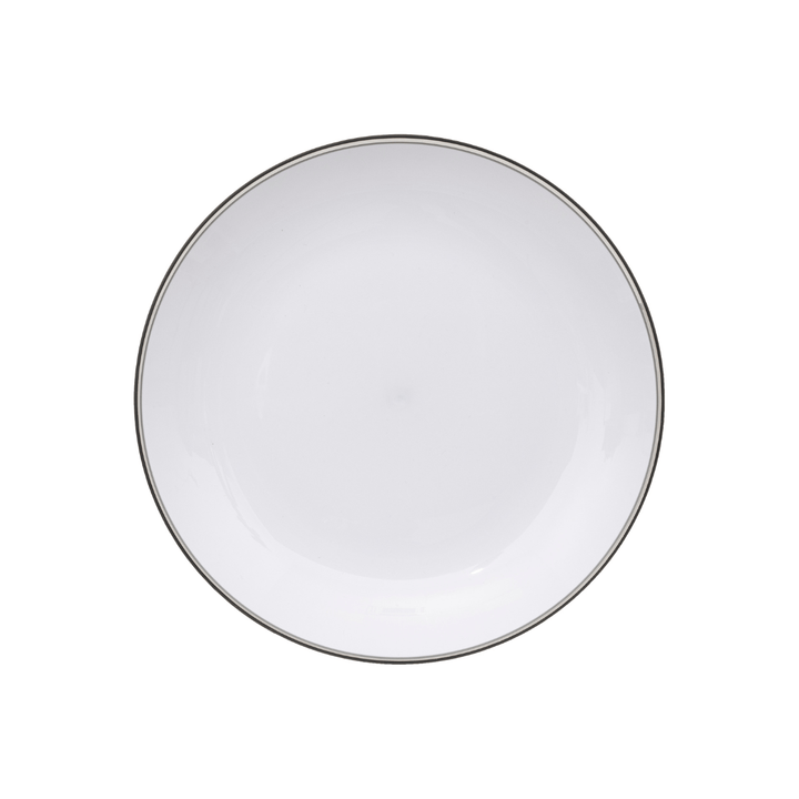 25cm Picnic Dinner Plate