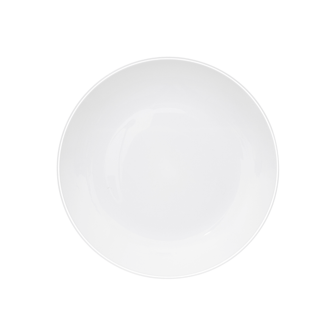 25cm Picnic Dinner Plate