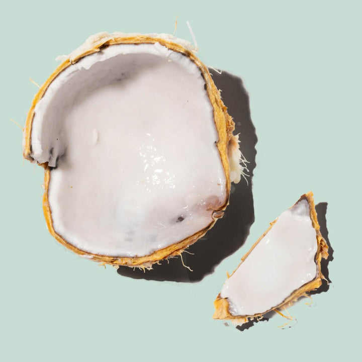 Luxe Balm Coconut