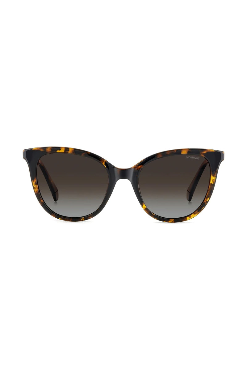 Rectangle Havana Frame Brown Lens - None