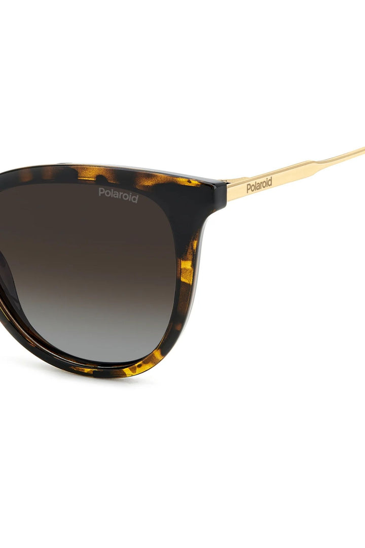Rectangle Havana Frame Brown Lens - None