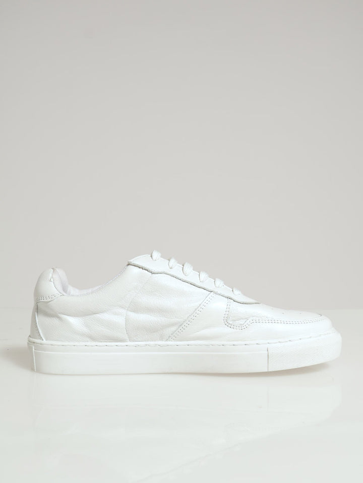 Lace-Up Leather Sneaker - White
