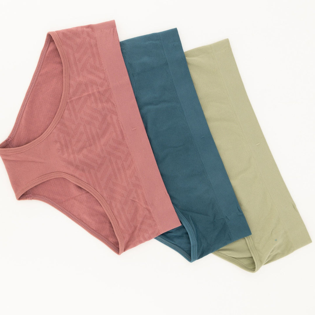 Ladies 3pc Seamless Hip Hugger Panties - Multi
