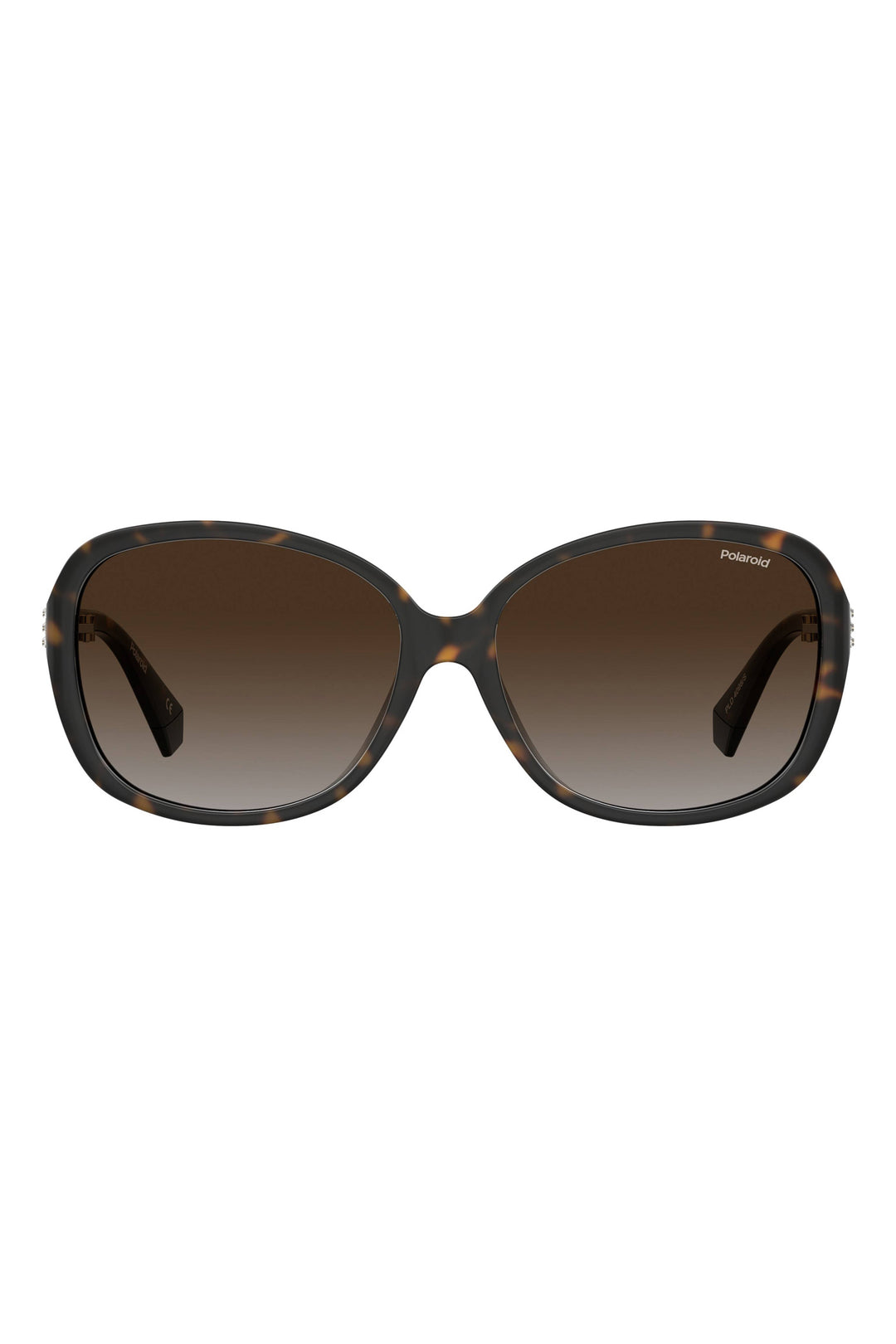 4098/S Sunglasses - Black/Brown