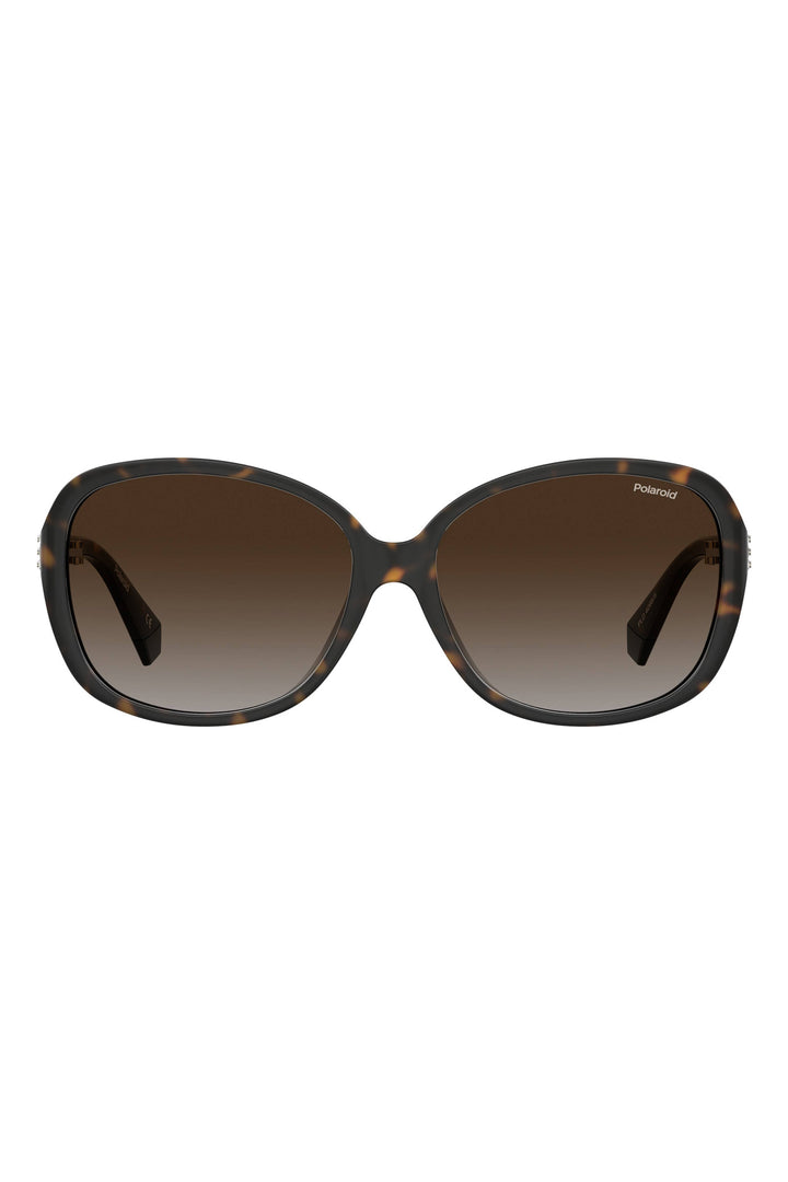 4098/S Sunglasses - Black/Brown