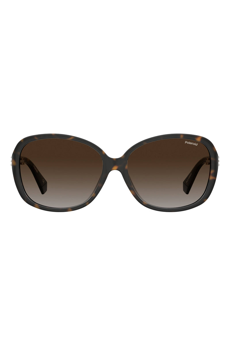 4098/S Sunglasses - Black/Brown