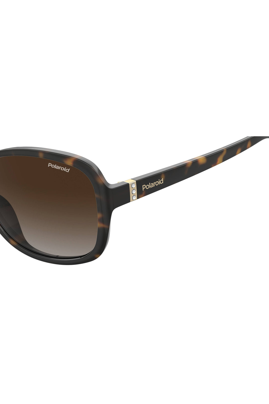 4098/S Sunglasses - Black/Brown