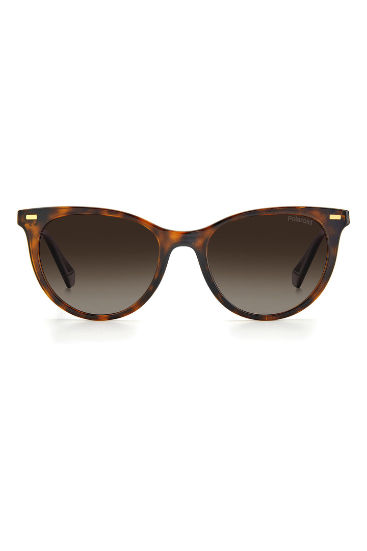 4107/S Sunglasses - Black/Brown