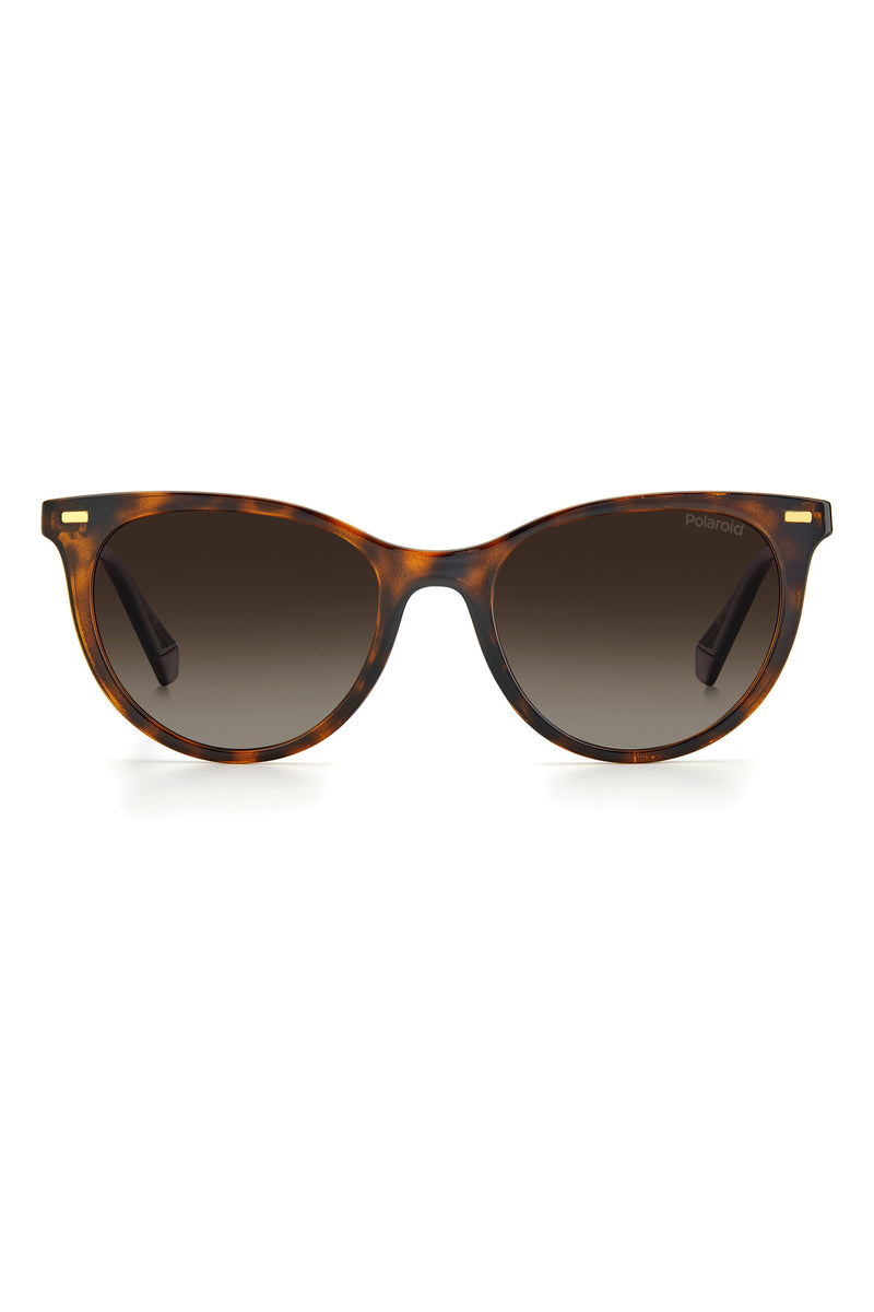 4107/S Sunglasses - Black/Brown