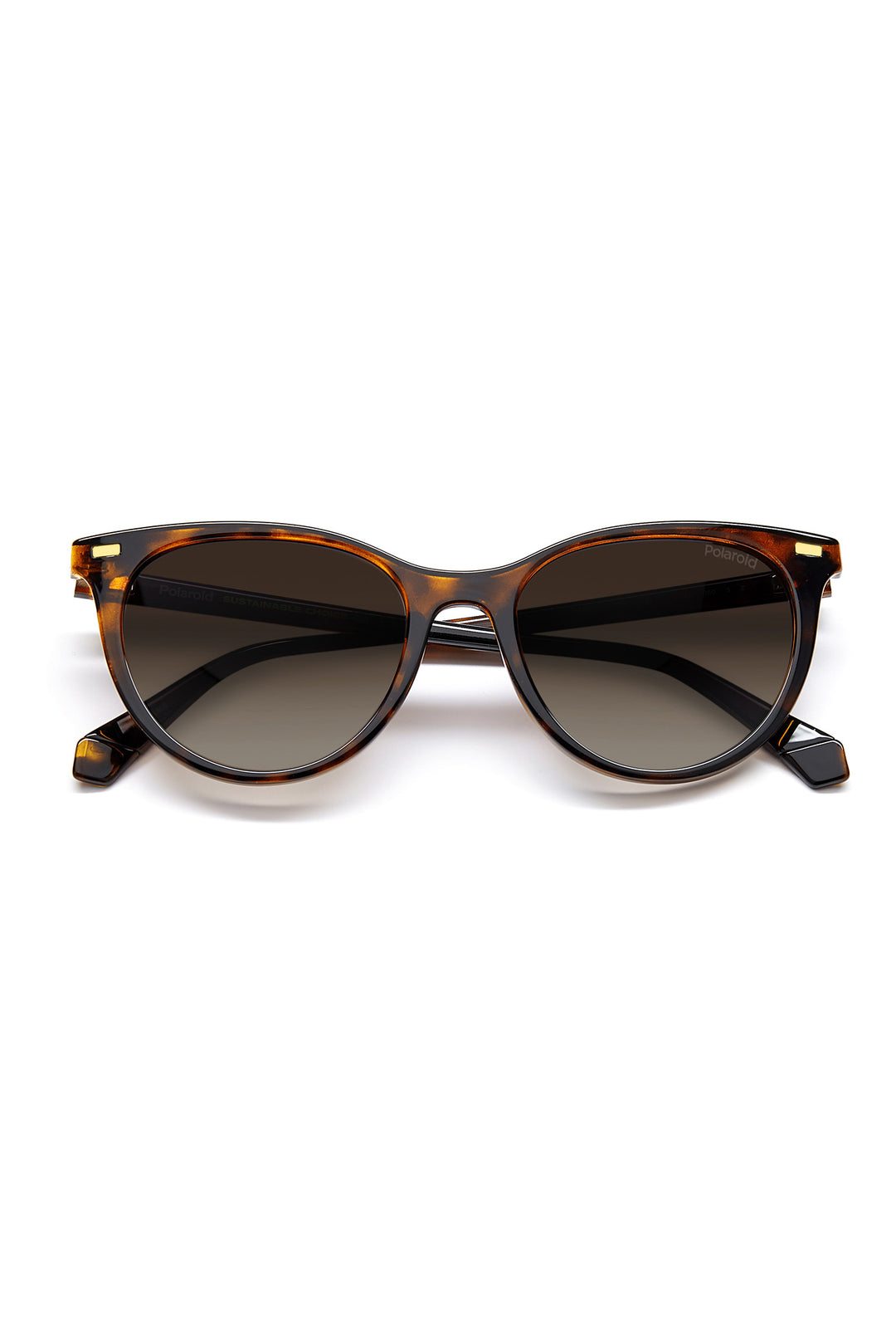 4107/S Sunglasses - Black/Brown