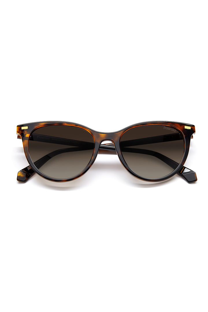 4107/S Sunglasses - Black/Brown