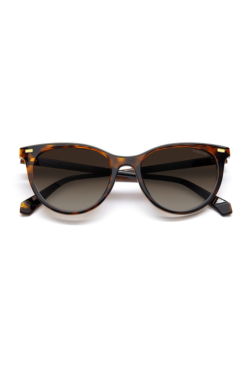 4107/S Sunglasses - Black/Brown
