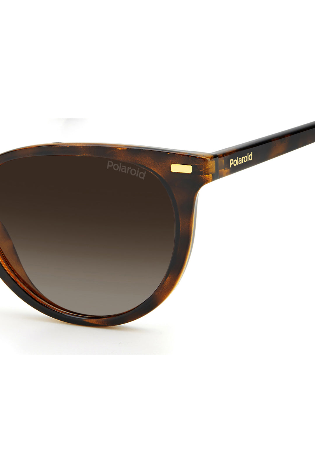 4107/S Sunglasses - Black/Brown