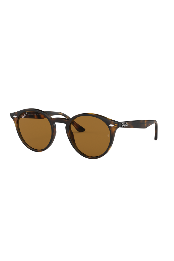 Ray-Ban Brown Polarized Sunglasses