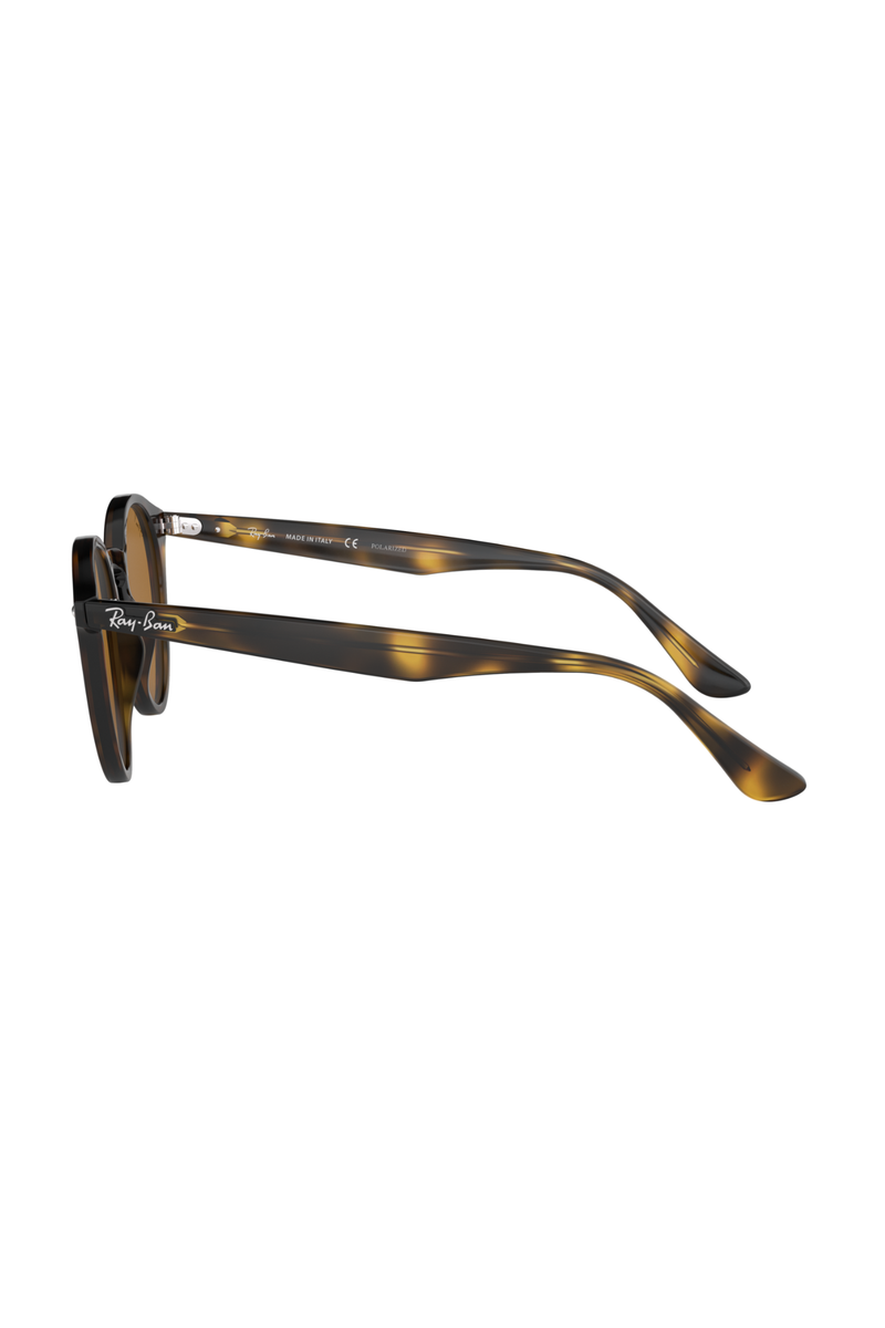 Ray-Ban Brown Polarized Sunglasses