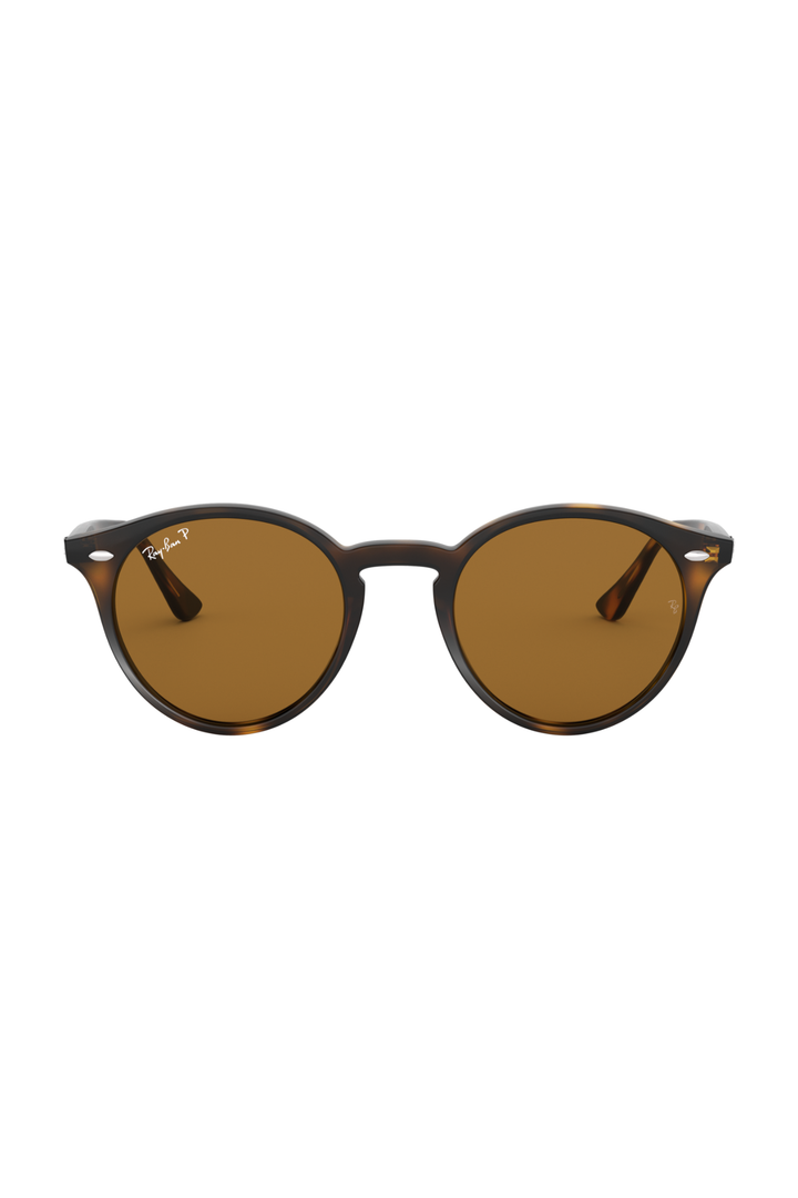 Ray-Ban Brown Polarized Sunglasses