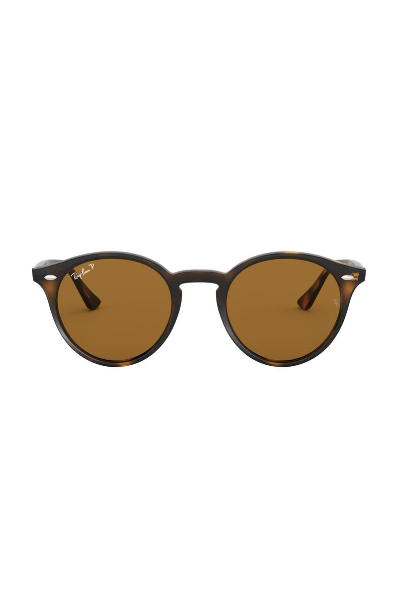 Ray-Ban Brown Polarized Sunglasses