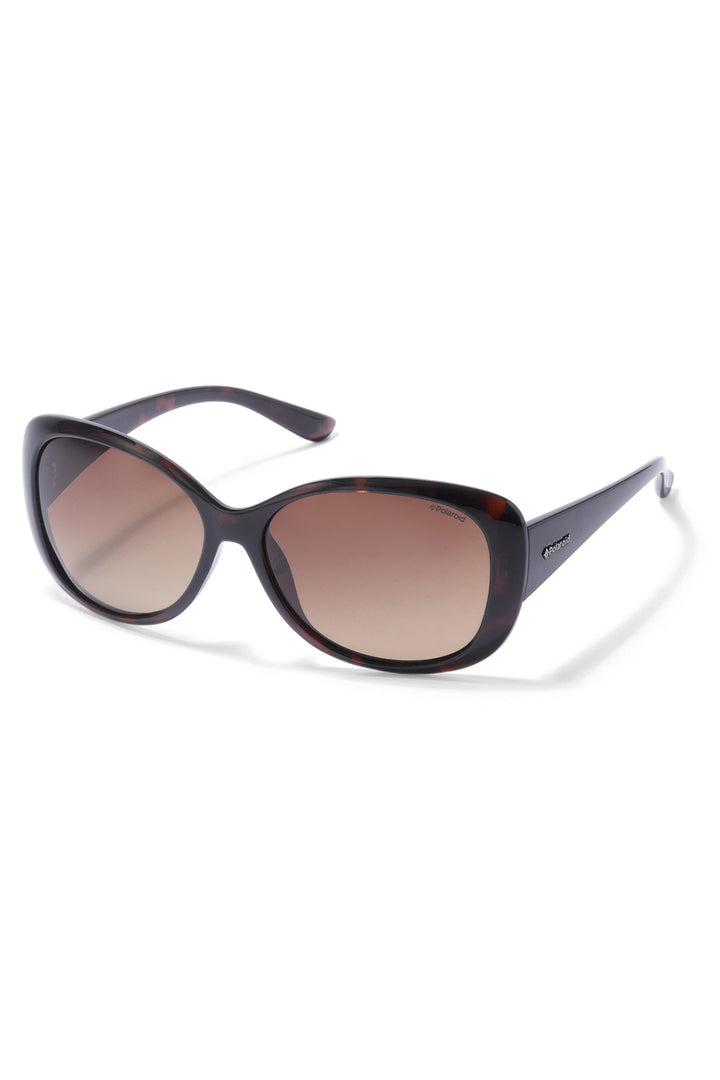 P8317 Sunglasses - Black/Brown
