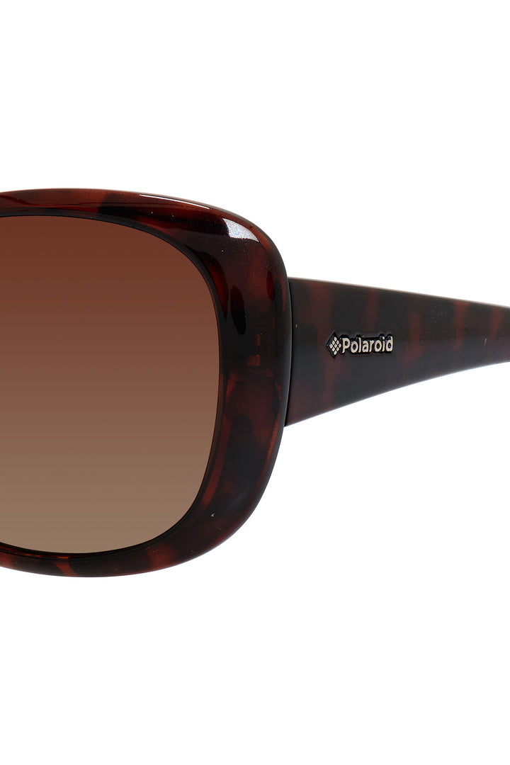 P8317 Sunglasses - Black/Brown