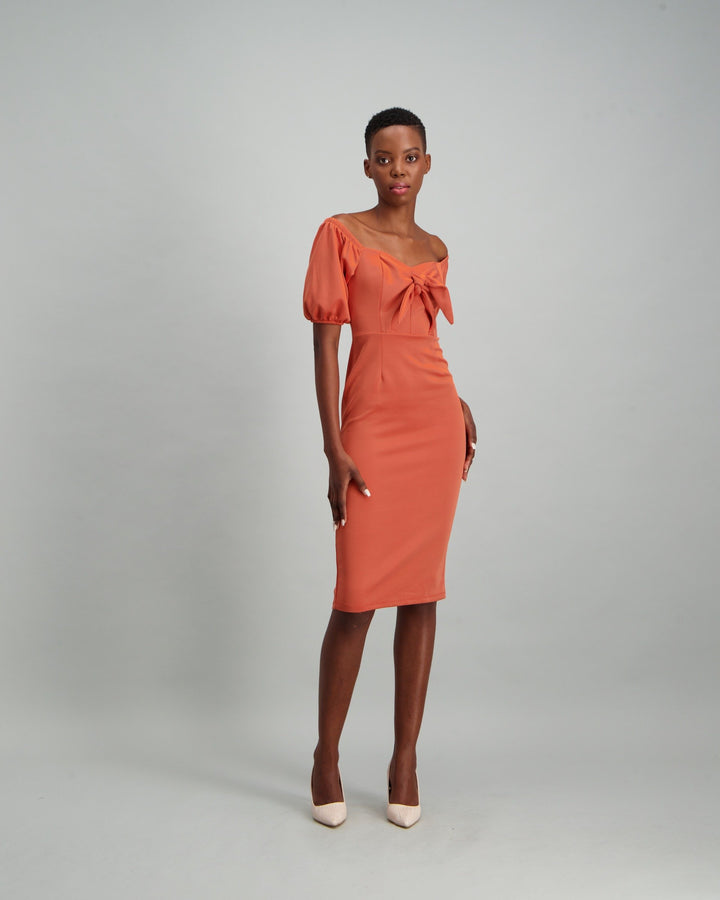 Ladies Puff Sleeve Bust Tie Detail Dress - Ginger