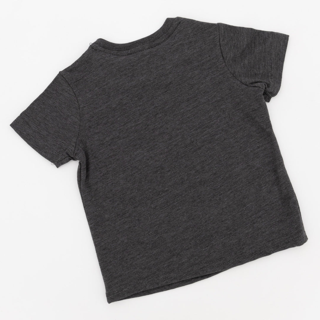 Pre-Boys Spiderman Split Print T-Shirt - Grey