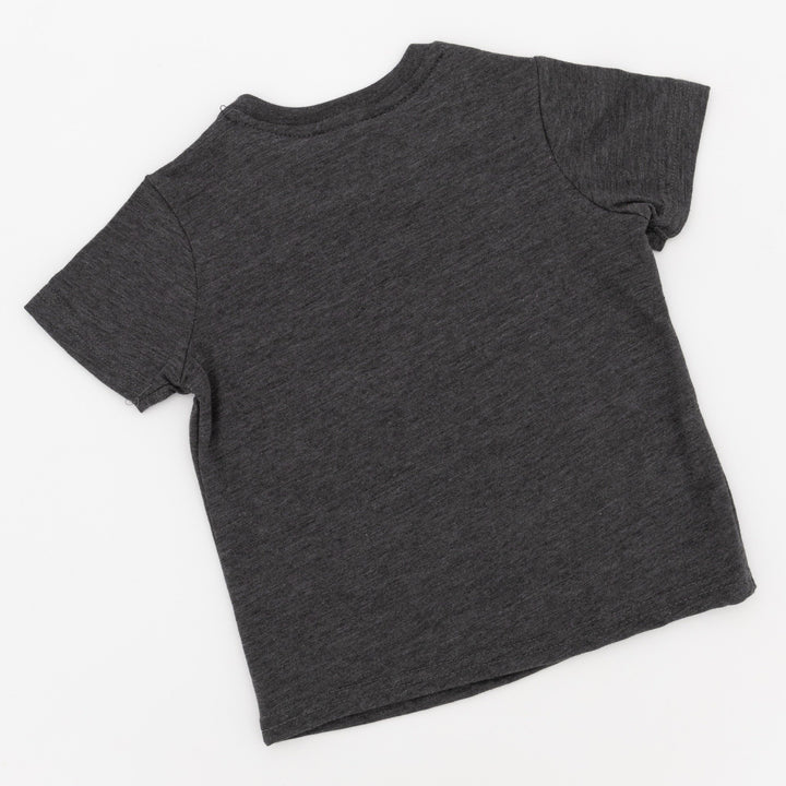 Pre-Boys Spiderman Split Print T-Shirt - Grey