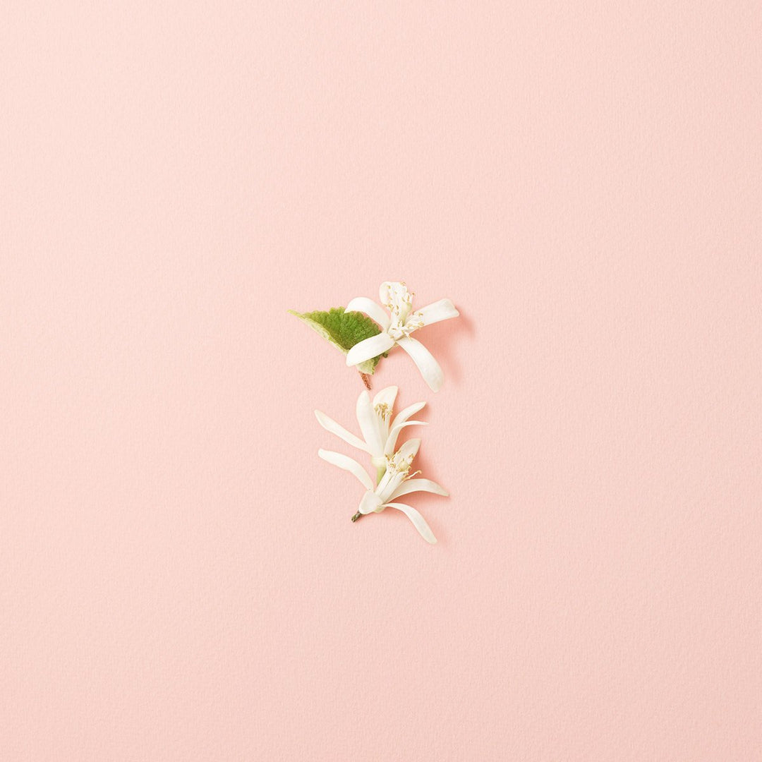 Si Fiori  Eau de Parfum