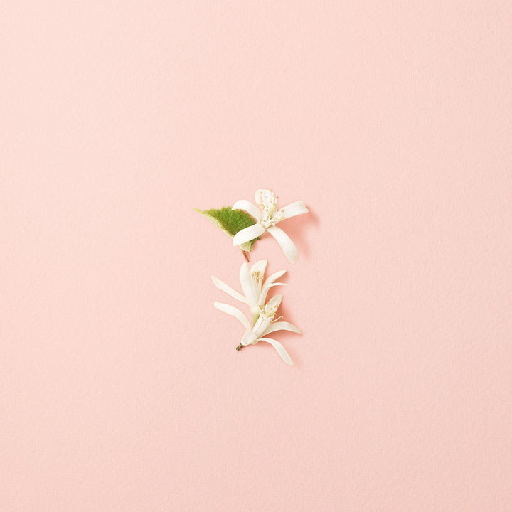 Si Fiori  Eau de Parfum