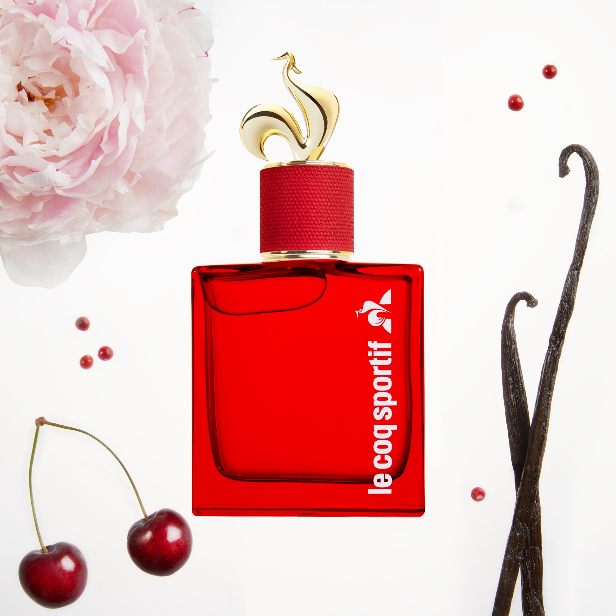 Le coq sportif at edgars online