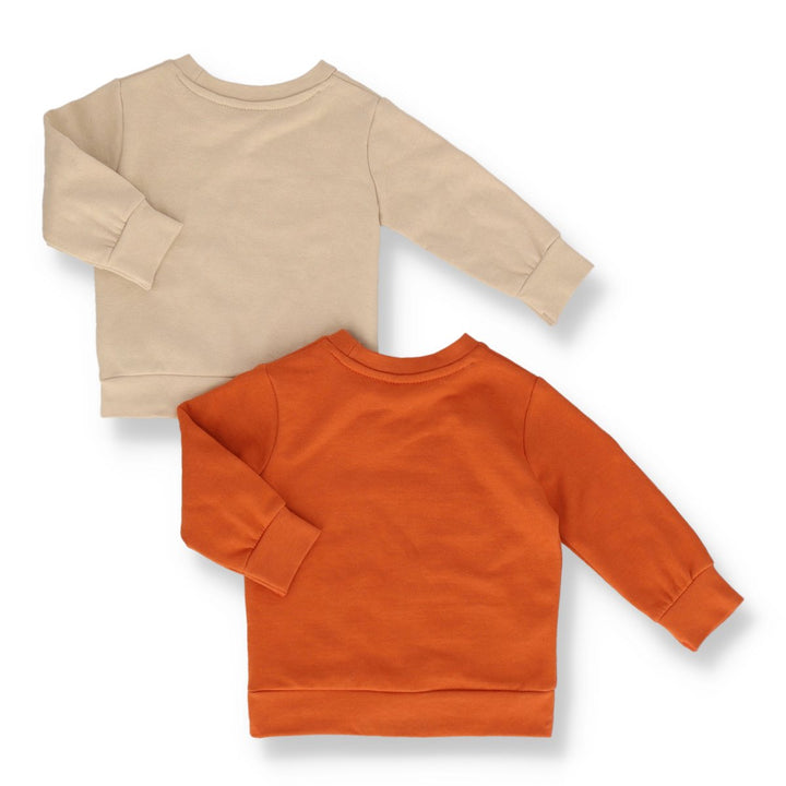 Baby Boys 2 Pack Long SLeeve Sweat Top - Stone