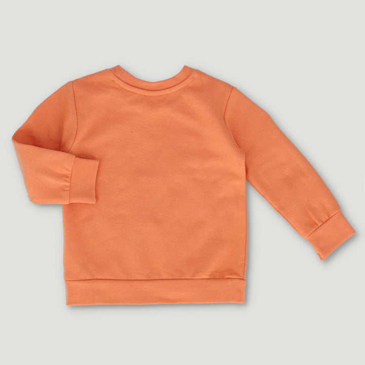 Long Sleeve Sweater - Melon